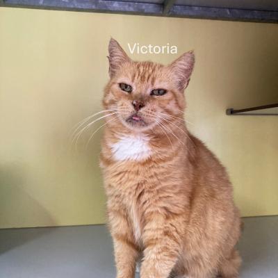 Nora en Victoria